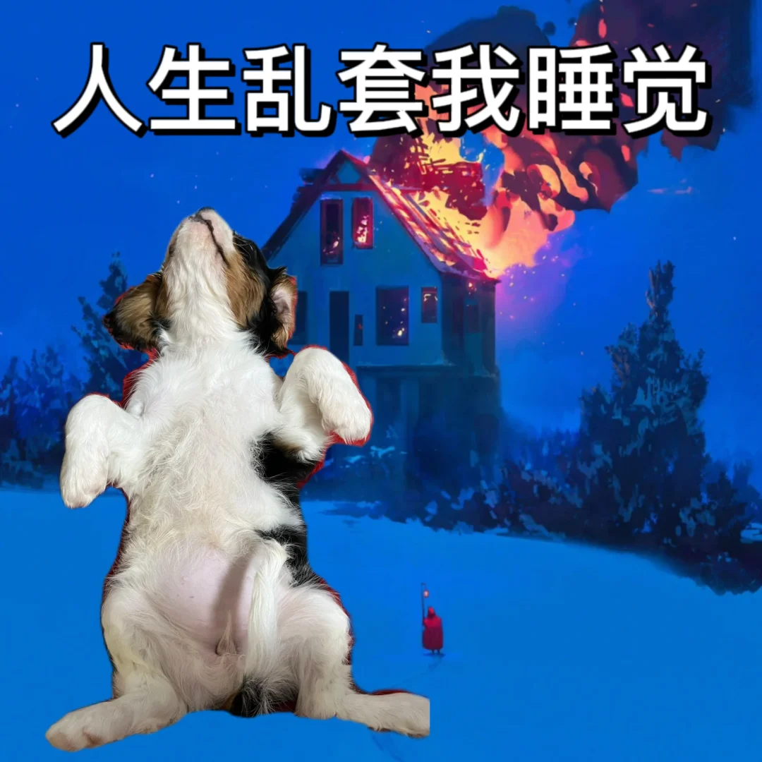 房子着火我拍照，人生乱套我睡觉