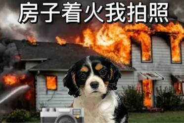 房子著火我拍照,人生亂套我睡覺是什么意思