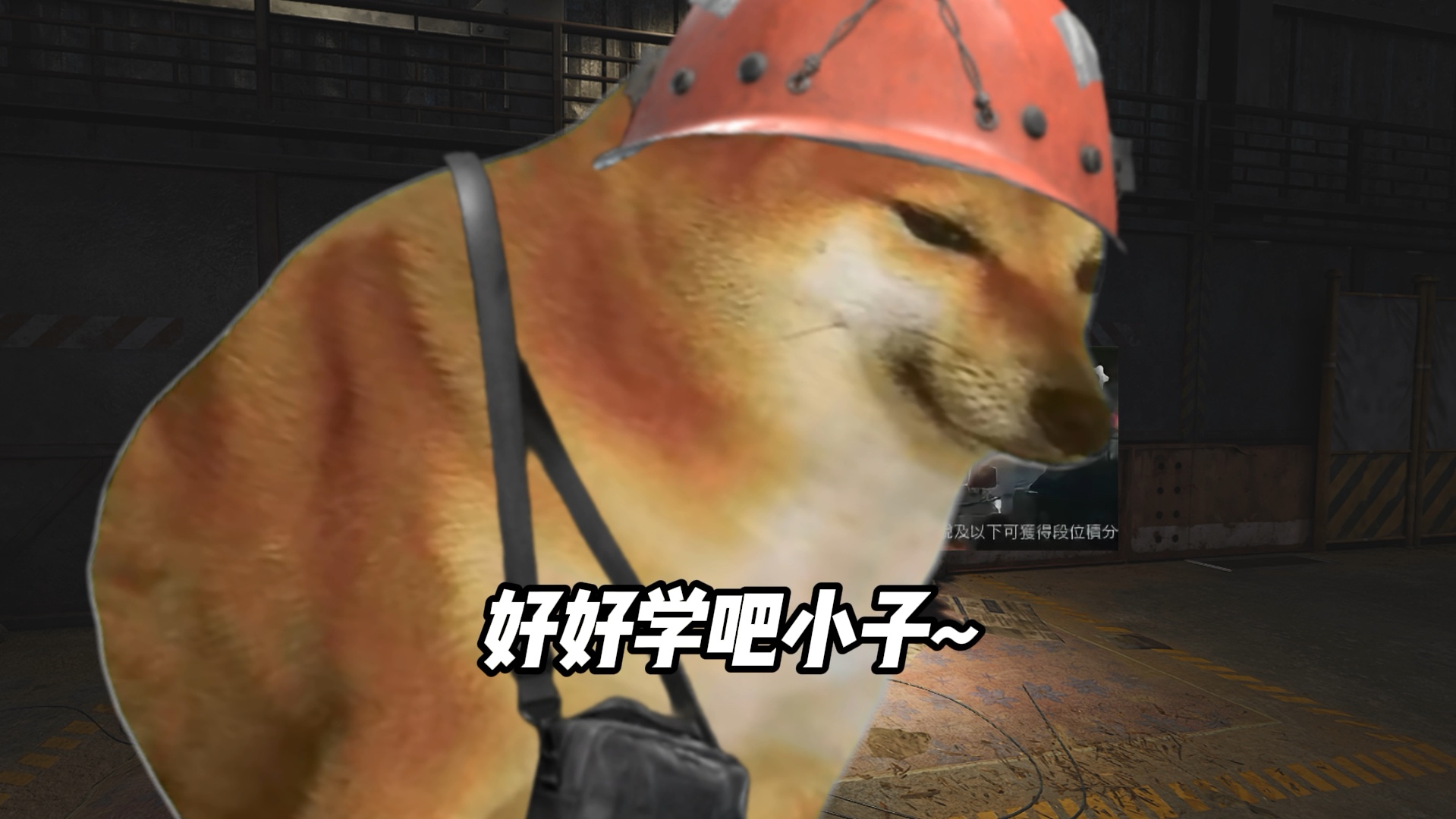 好好学吧，小子