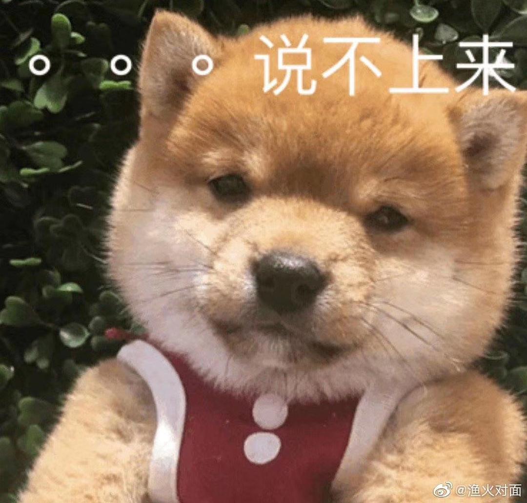 精装脑子毛坯嘴