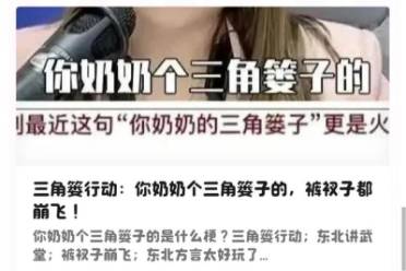 你奶奶個三角簍子是什么意思