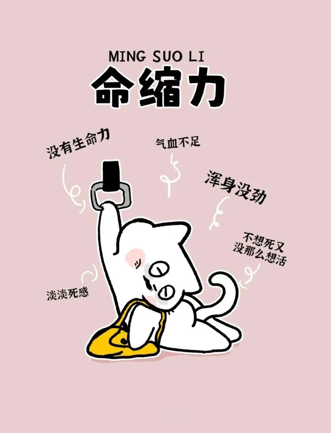 命缩力