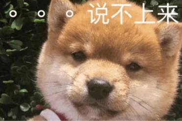 精裝腦子毛坯嘴是什么意思