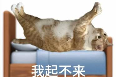 松人緊人是什么意思