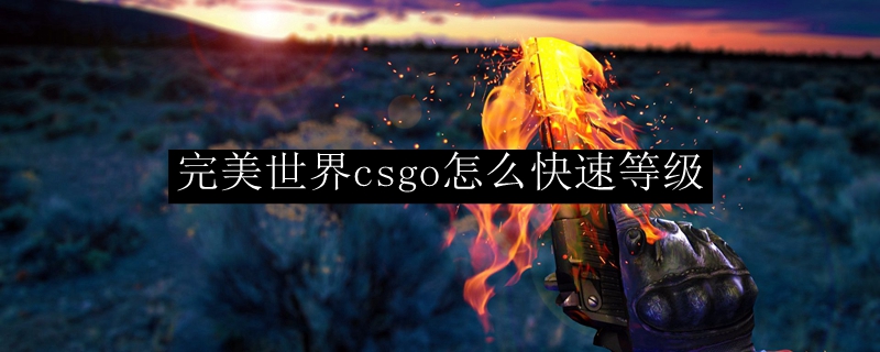 CS经验获取效率提升指南