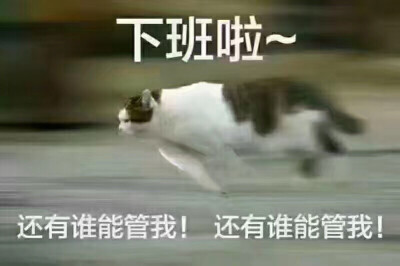 私自文學(xué)