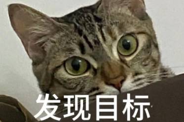 目标已出现是什么意思