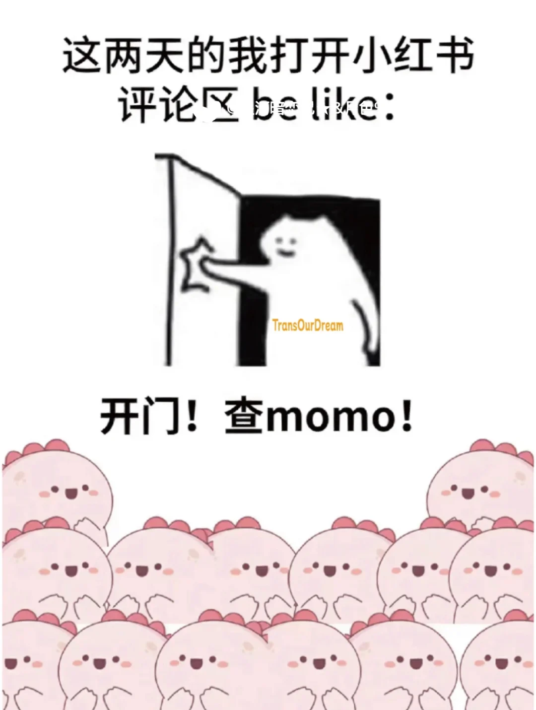 momo大軍?