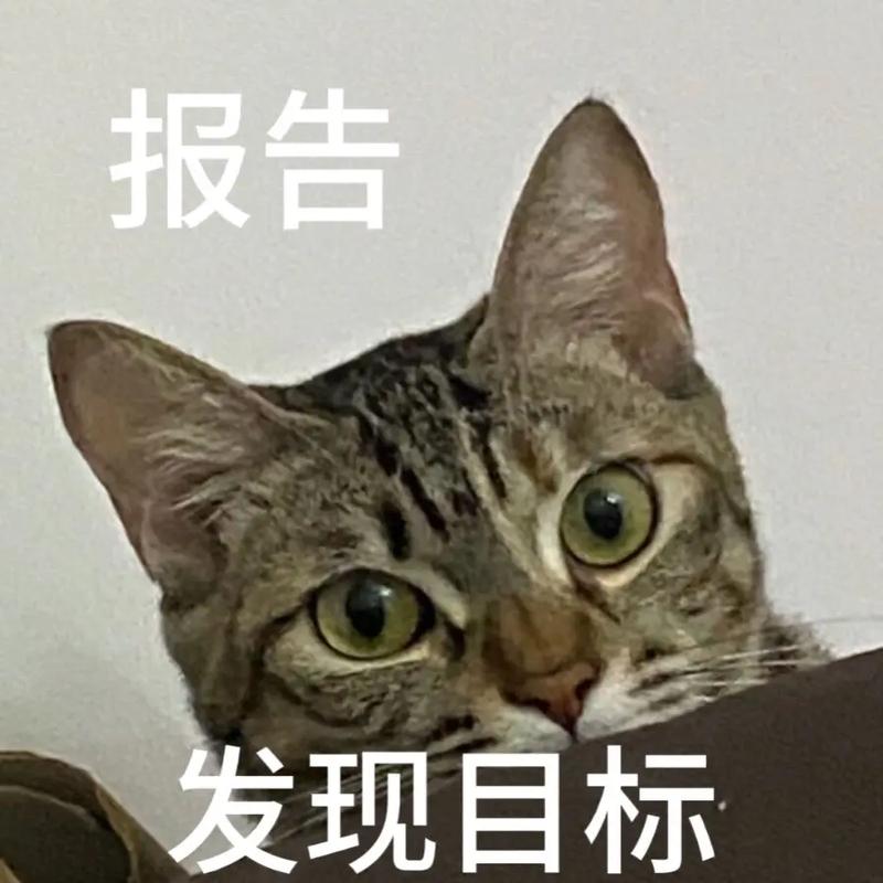 目標(biāo)已出現(xiàn)