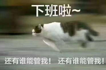 私自文學(xué)是什么意思