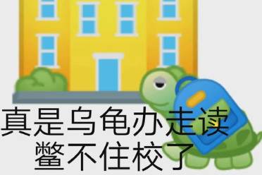 烏龜辦走讀是什么意思