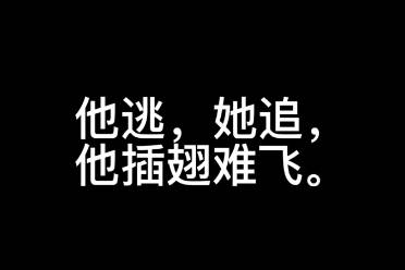 她逃他追她插翅難飛是什么意思