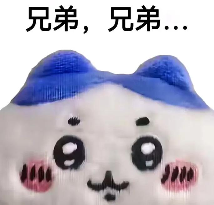 有的兄弟有的