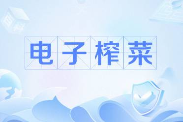 電子榨菜2.0是什么意思