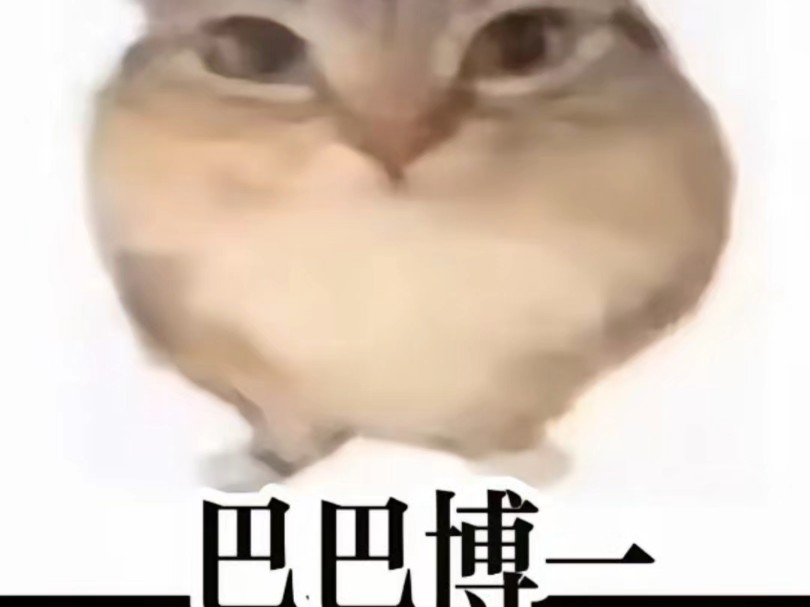 巴巴博一