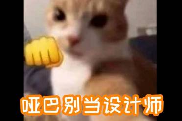 啞巴不準(zhǔn)當(dāng)設(shè)計(jì)師是什么意思