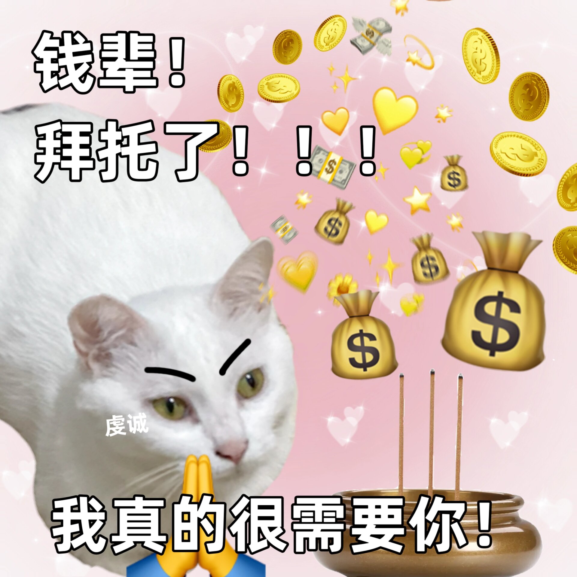 钱辈请和我交往吧
