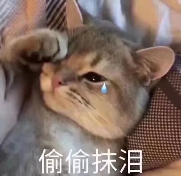 哭哭哭就知道哭