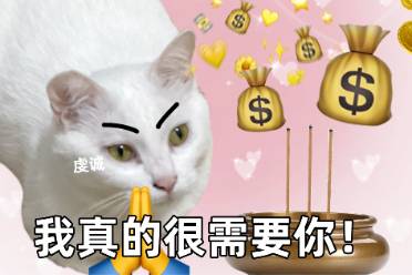 錢輩請(qǐng)和我交往吧是什么意思