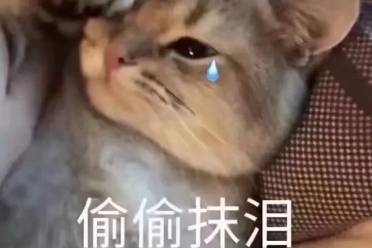 哭哭哭就知道哭是什么意思