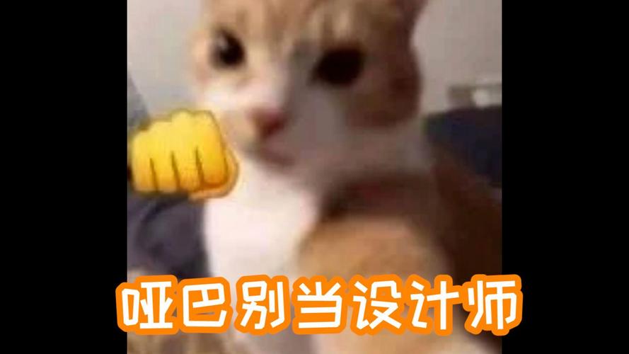 哑巴不准当设计师
