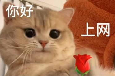 空巢網(wǎng)民是什么意思