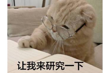 一點(diǎn)點(diǎn)人是什么意思