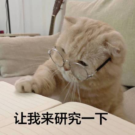 一点点人