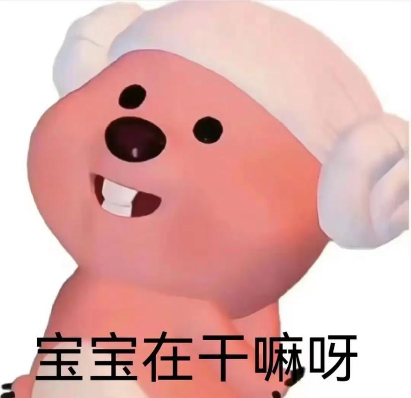 喊宝王