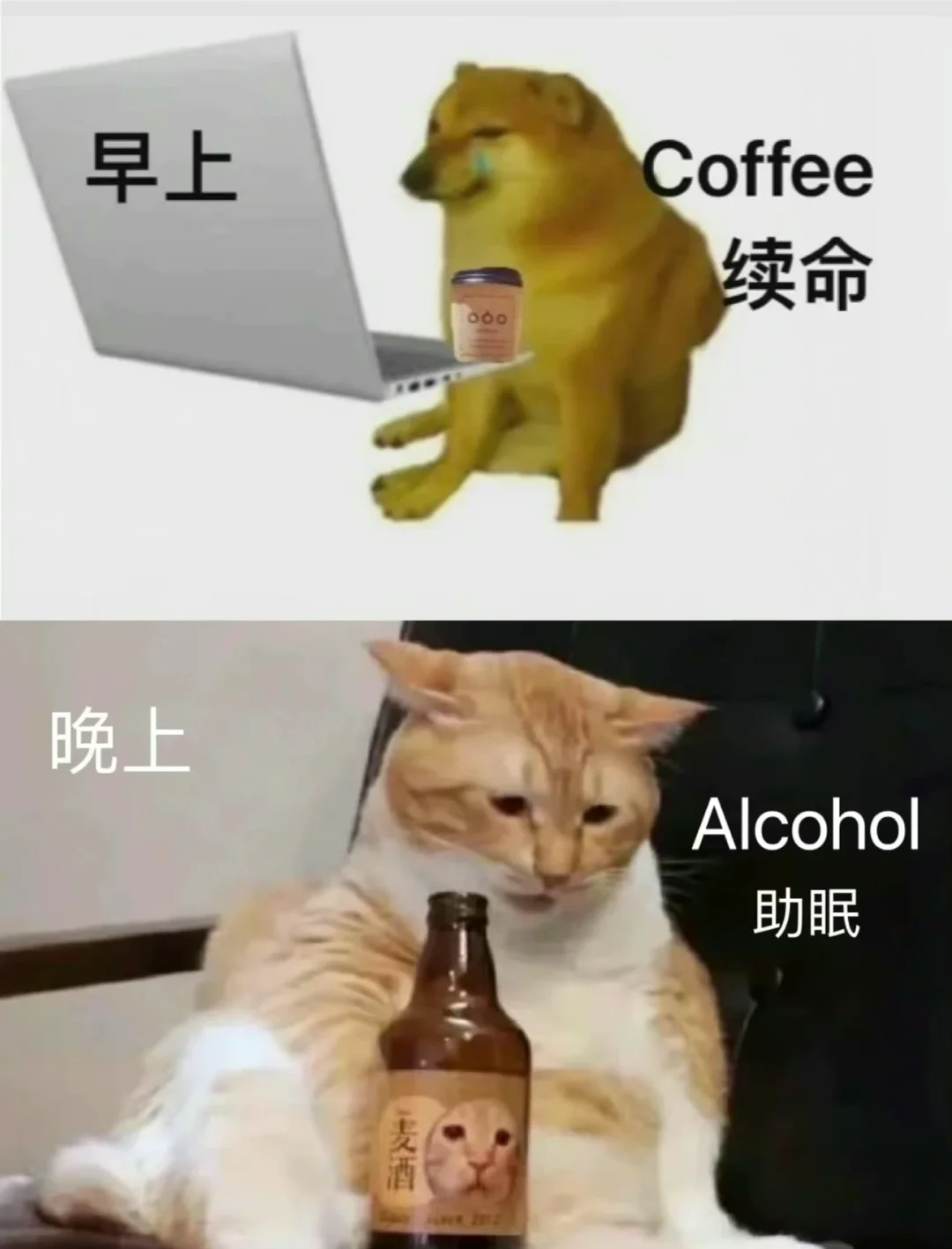 早C晚A 2.0