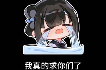 我真求你了是什么意思