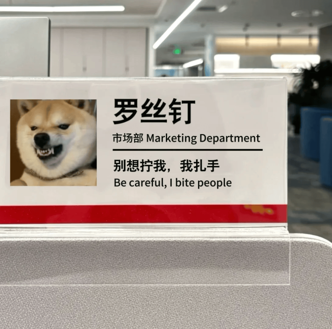 00后发疯工牌