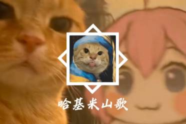 哈基米山歌是什么意思