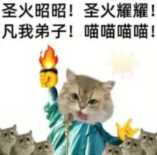 凡我弟子，喵喵喵喵