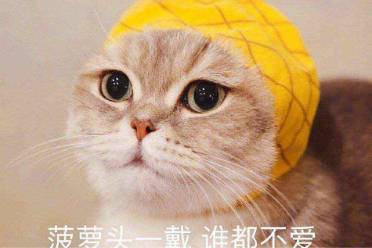 剧本杀菠萝头是什么意思