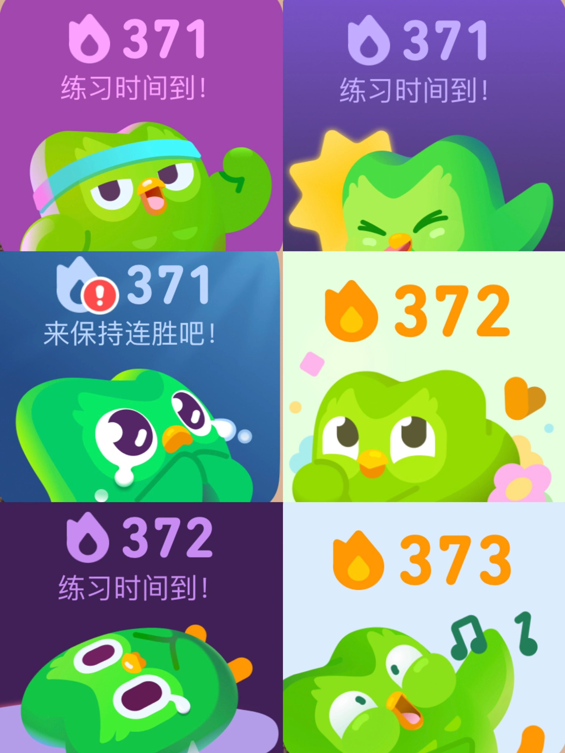 多儿追杀