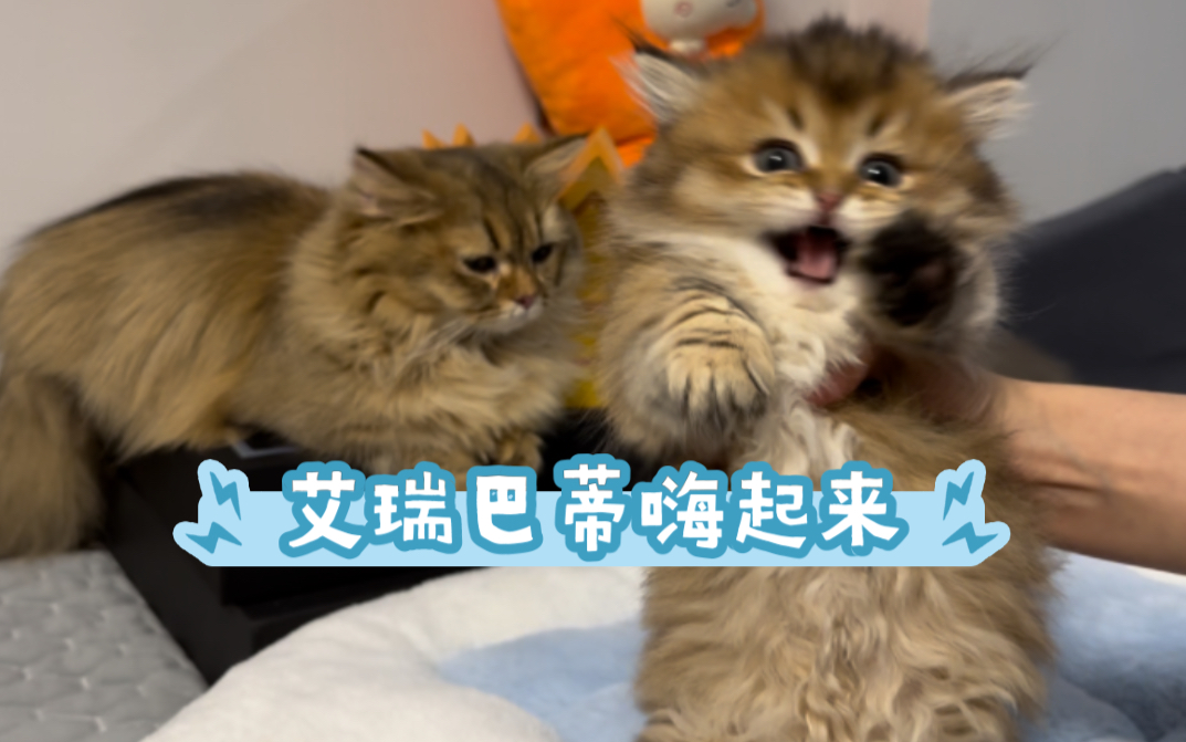 艾瑞巴蒂