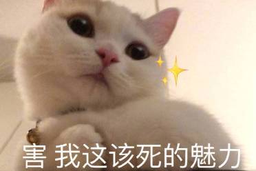 Rizz是什么意思