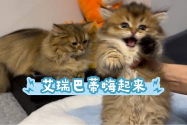 艾瑞巴蒂是什么意思