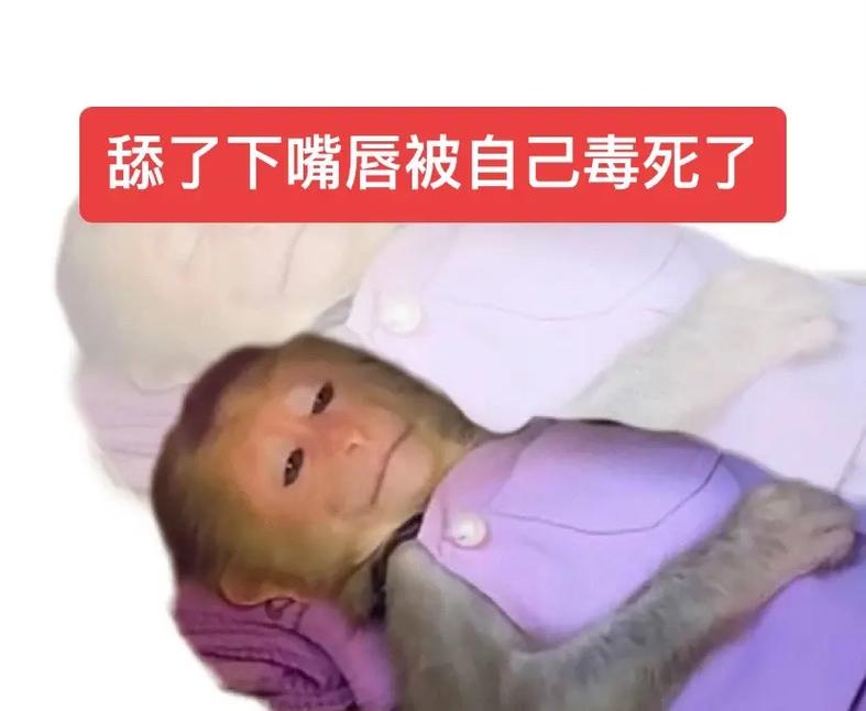 舔了下嘴唇把自己毒死了