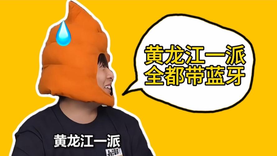 黄龙江一派全都带蓝牙