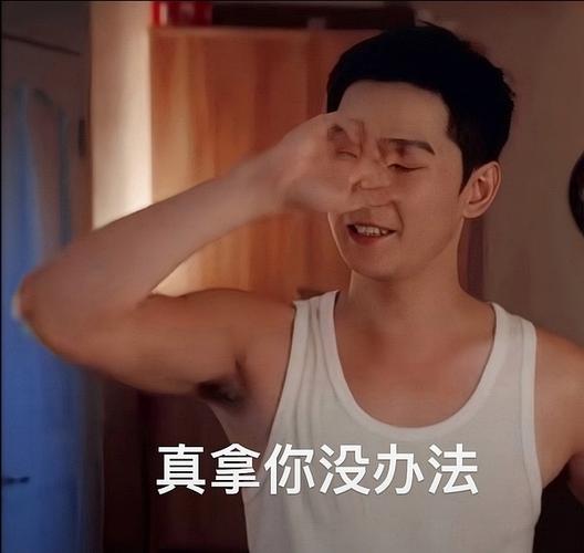 宋焰扶额苦笑