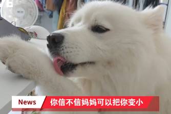 信不信媽媽可以把你變小是什么意思