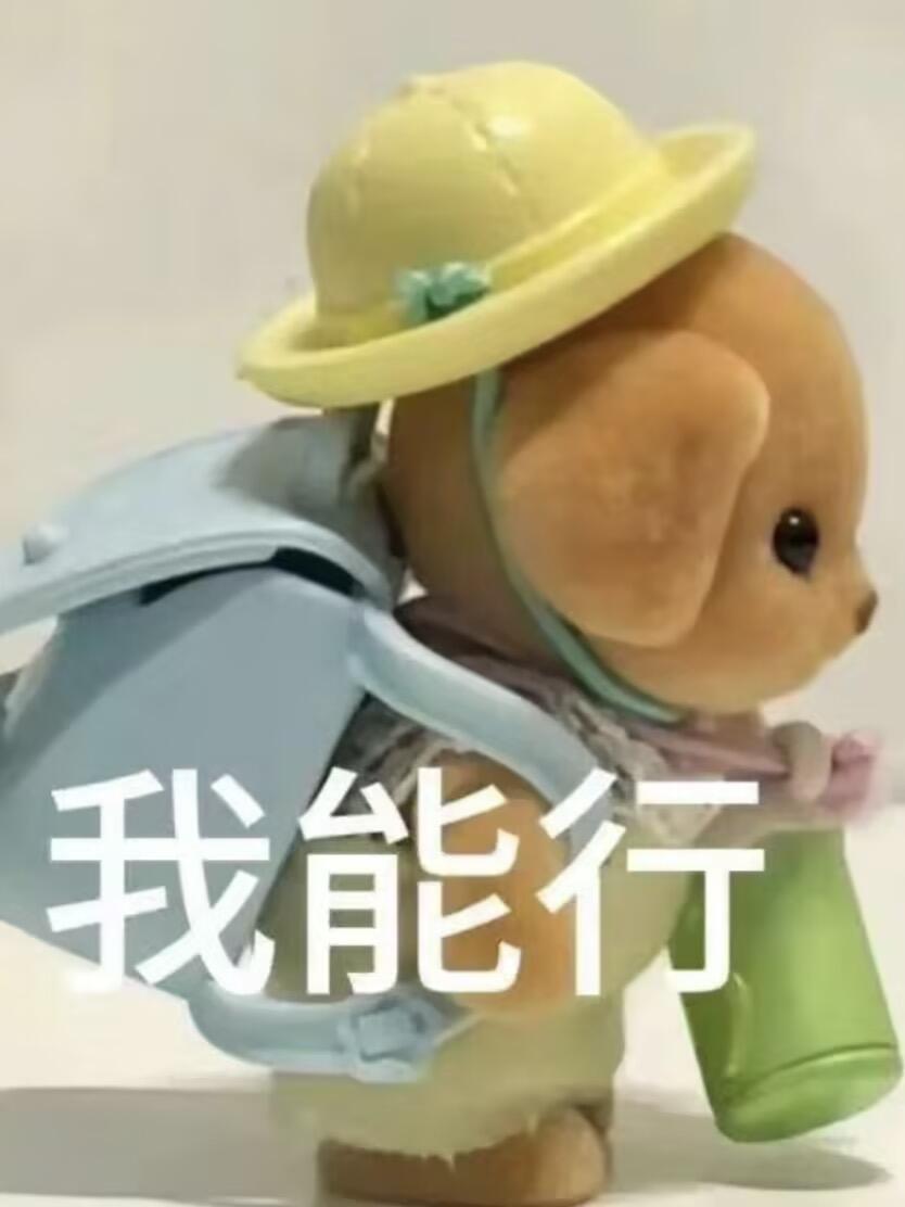 我上我也行