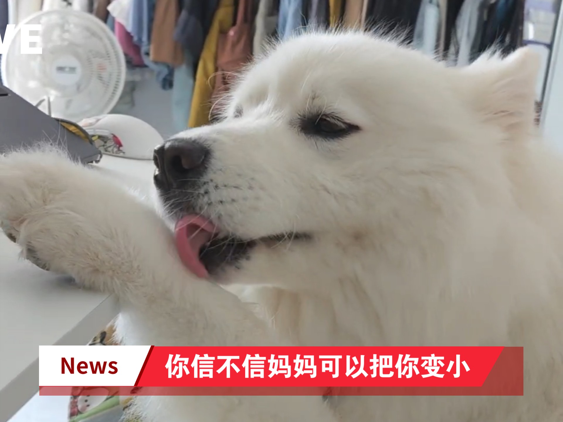 信不信妈妈可以把你变小