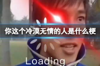 你這個(gè)冷漠無情的人是什么意思