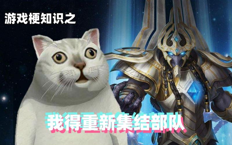 我得重新集结部队