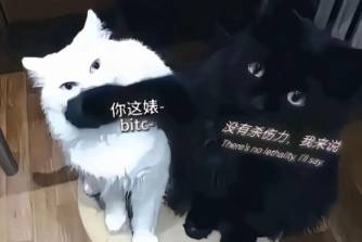 閨蜜開團(tuán)我秒跟是什么意思