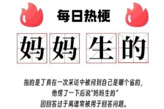 媽媽生的是什么意思
