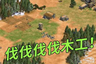 伐伐伐伐伐木工是什么意思